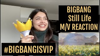 BIGBANG - &#39;봄여름가을겨울 (Still Life)&#39; M/V REACTION | I CANT STOP CRYING #BIGBANGISVIP