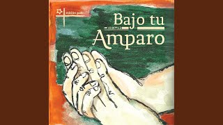 Video thumbnail of "Misión País - Bajo tu amparo"