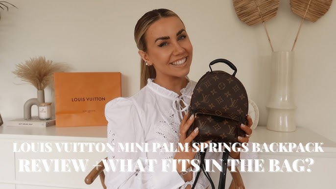 Palm Springs Mini Decision Help! : r/Louisvuitton