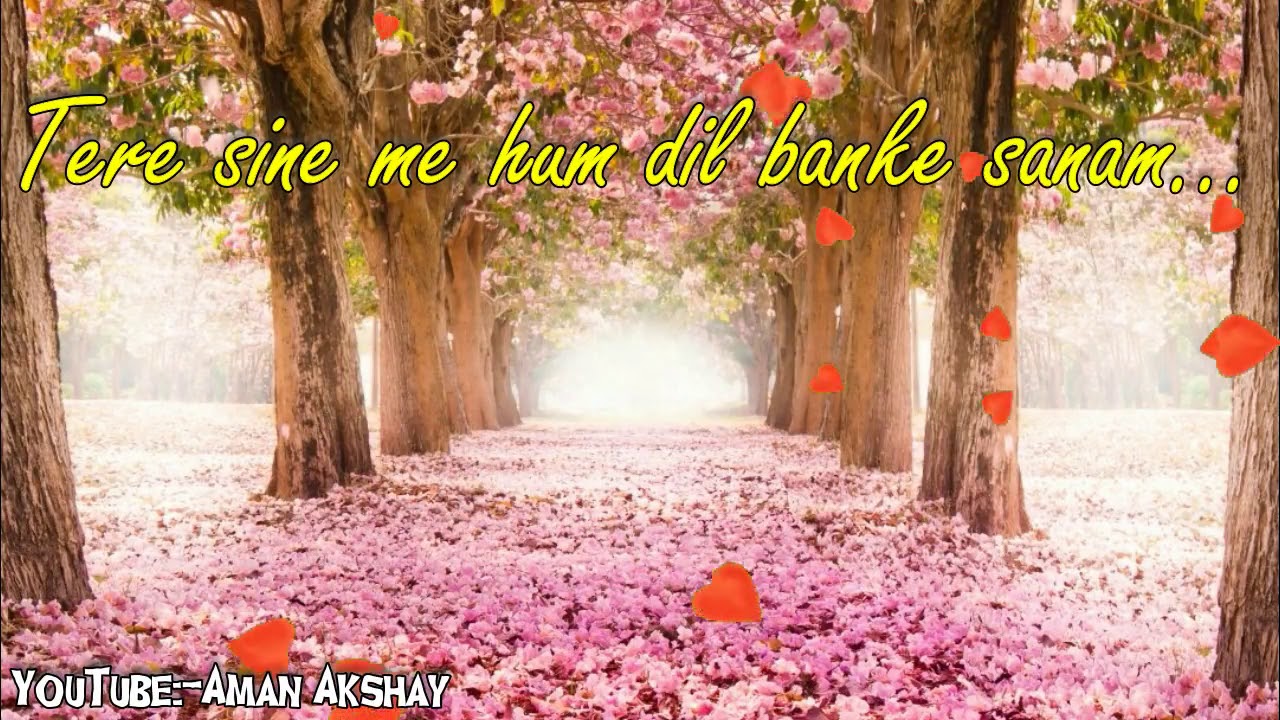 Tere Seene Mein Hum Dil Banke Sanam song