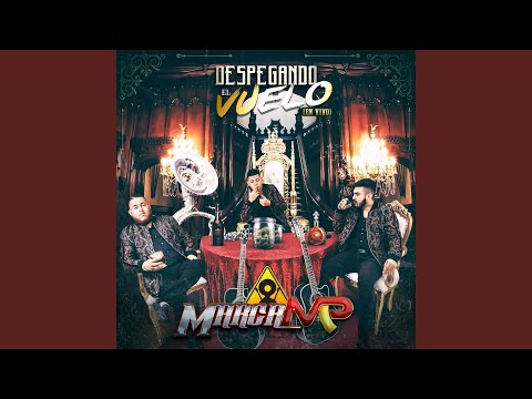 Despegando El Vuelo En Vivo 