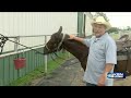 Wild horses program helps Hutchinson inmates prepare for life after prison