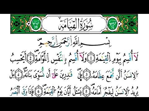 الثمن 5 من الحزب 58 سورة القيامة مكررة كل آية خمس مرات للحفظ بصوت ياسين الجزائري رواية ورش
