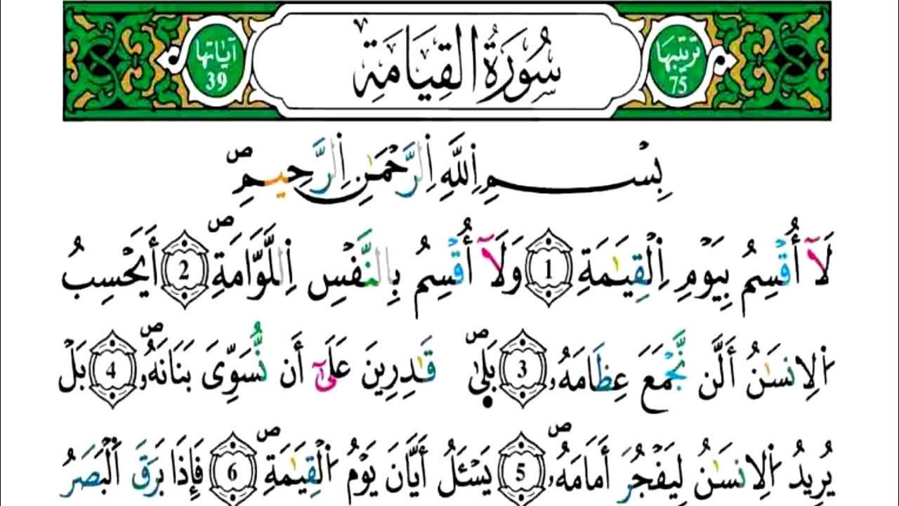 الثمن 5 من الحزب 58 -سورة القيامة - مكررة كل آية خمس مرات للحفظ - بصوت ياسين الجزائري رواية ورش