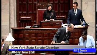 NYS Senate Session - November 29, 2010