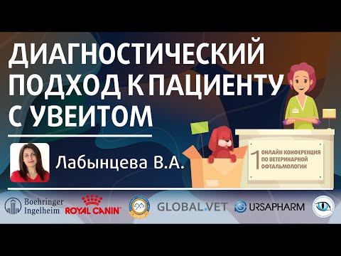 План диагностики пациента с увеитом