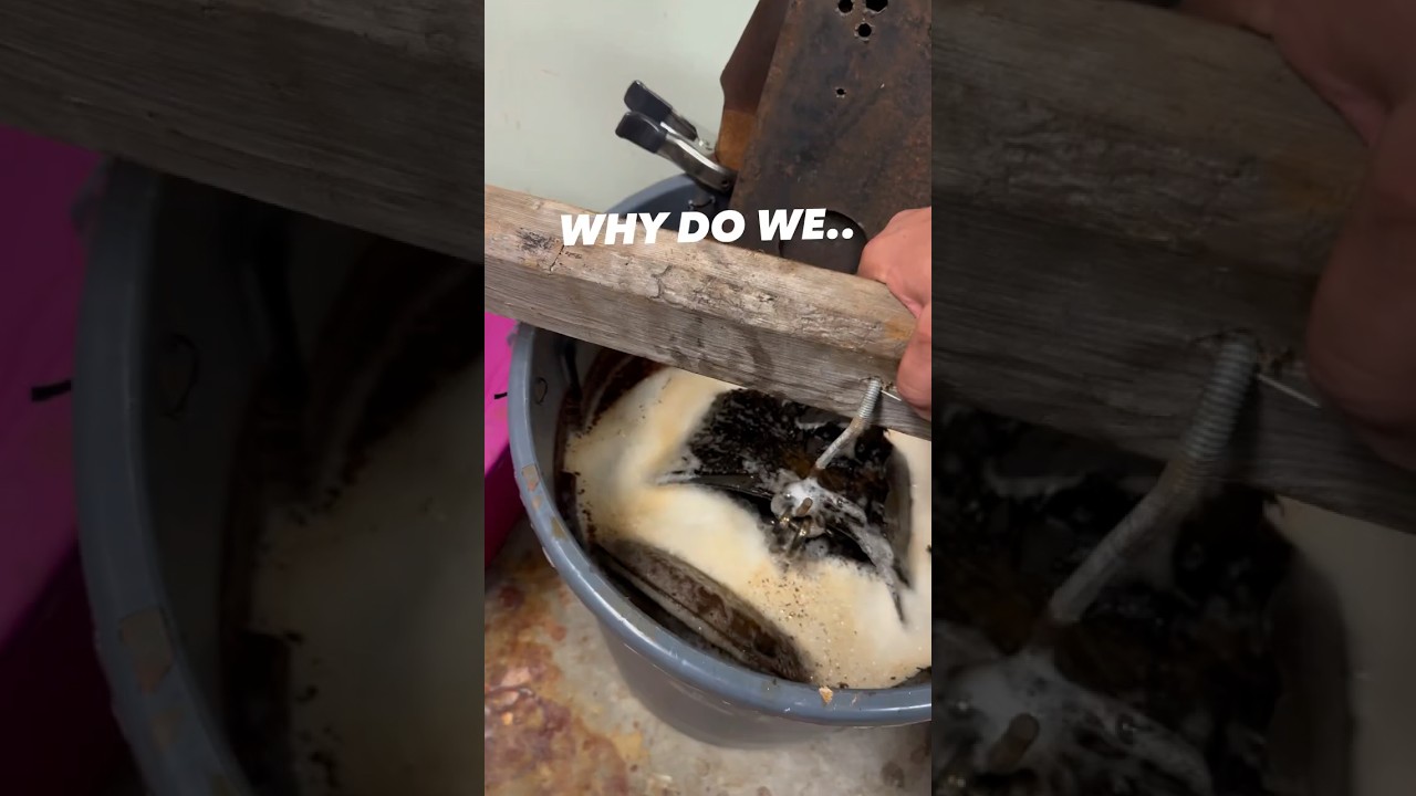 Satisfying Cast Iron Dutch Oven Scrub 🤘🔥