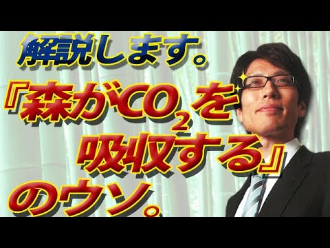 木を植えて気候変動対策？効果的な樹種と実践のコツ