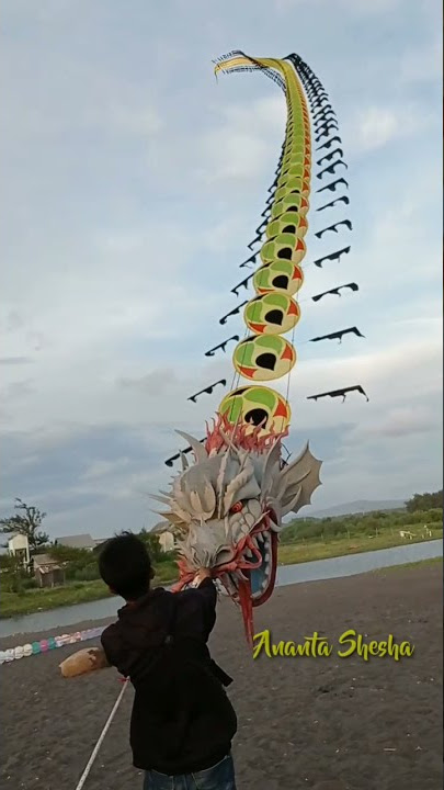 Story WA Layangan Naga
