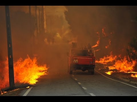 Португалия: лесные пожары распространяются с невиданной скоростью