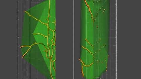 How to use Convex Hull XTension | Watch our Video Tutorial