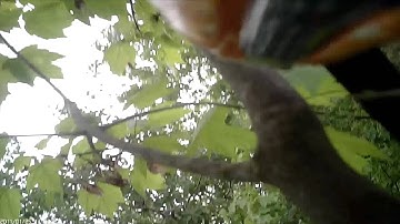 Hobbyzone Champ Camera view: Zero to Tree in 10 seconds