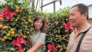 LIOW VIDEO: New house, new plants 搬了新家, 买花过年