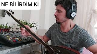 NE BİLİRDİM Kİ FERDİ TAYFUR (YASİN GÜNEY) #nebilirdimki #ferditayfur #elektrobaglama Resimi