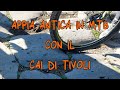 MTB sull’Appia Antica | Caffarella e Parco degli Acquedotti – CAI Tivoli