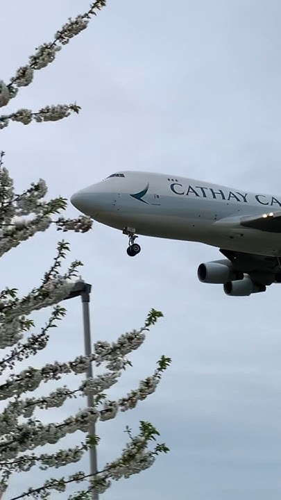 who-makes-the-engines-for-this-plane-avaition-shorts-tiktok-747