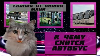 К чему снится автобус? Увидел(а) во сне автобус? Тогда жми сюда!