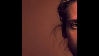 Mike Rauss - Falafel Pop EP