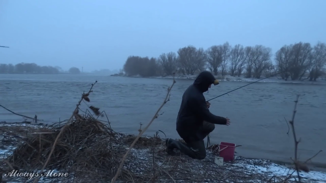 Зимняя рыбалка на открытой воде. Ловля на донку (закидушку). Щука, густера.