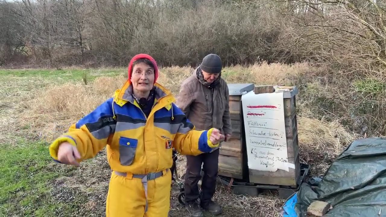 Live von Pias Bienenstand - 19.02.2025