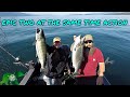 Alaska salmon catch and cook 2019