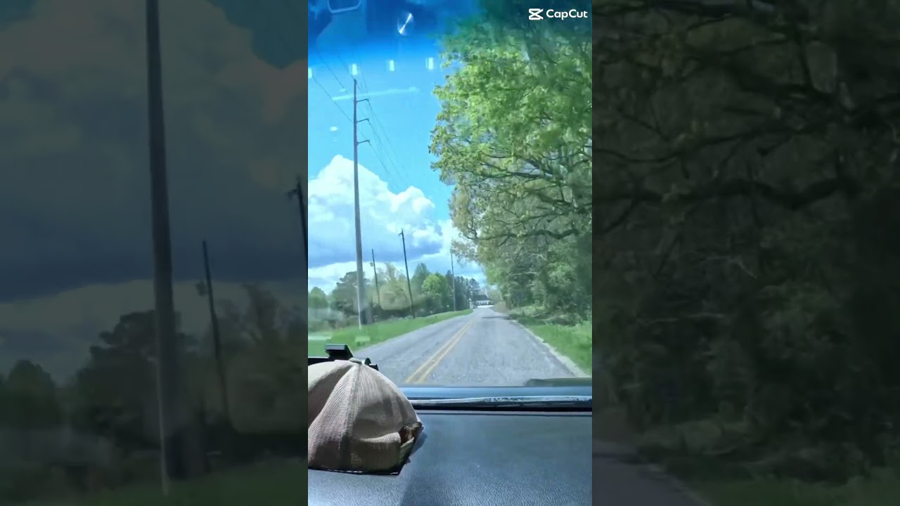 Vw parts store. The place to go in east Alabama and west Georgia. 