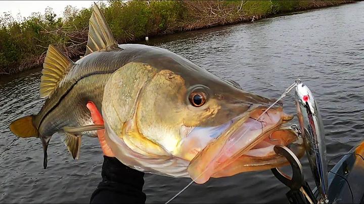 EPIC Fishing - Trophies and PB in the Cold Storm!