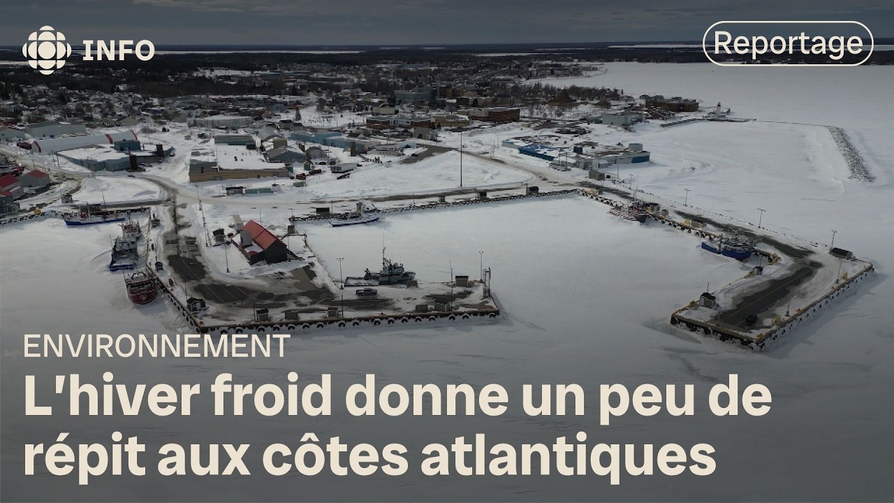 Cette année, d’épaisses couches de glace protègent les berges de l’Atlantique contre l’érosion