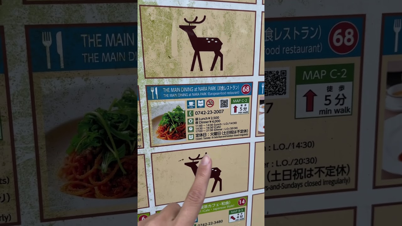 Цены в кафе в парке оленей 