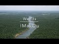 (FREE) Strings Type Beat "Woods"