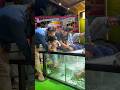 NR Fish Spa🥰 Besant Nagar beach +919952085544 #youtubeshorts #spa #cute #fish #yt #youtube #chennai