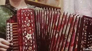 Наигрыши на Гармони (Досада, Барыня, Матаня, Страдания, Цыганочка)
