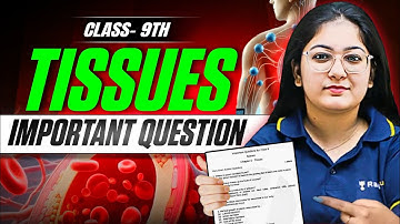 Class 9 Biology Tissues | Most Expected Questions & Answers for Exam I  CBSE Term 1 & 2