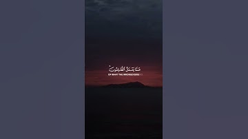 تلاوة هادئه نايف الفيصل