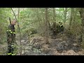 In Fontainebleau forest near Paris, firefighters extinguish every flare-up | AFP