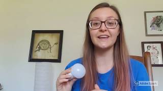 Eco-Friendly Scavenger Hunt