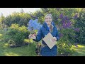 Floret Farm Tour: Lilacs
