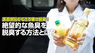 【釣り人必見！】車のシートに付着した魚臭を手軽に脱臭する方法を紹介［家庭用品でできる車の脱臭］