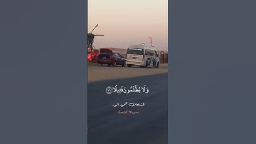 "الشحات محمد أنور وتلاوة تأخذ العقل في سورة الإسراء"