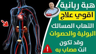 وصفة مذهلة لعلاج التهاب المسالك البولية في البيت مع تشخص الذاتي بدون ادوية |أقوي علاج والنتيجة مجربة