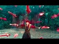 To be immortal 2  dragon sword outlander 2021 film explained in hindi    chinese movie 