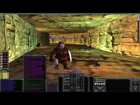 Everquest Project 1999 - Project Shaman Guide