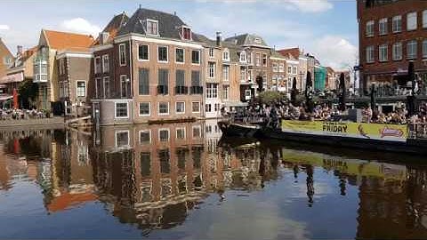 Visualization of Sorting Algorithms using photographs