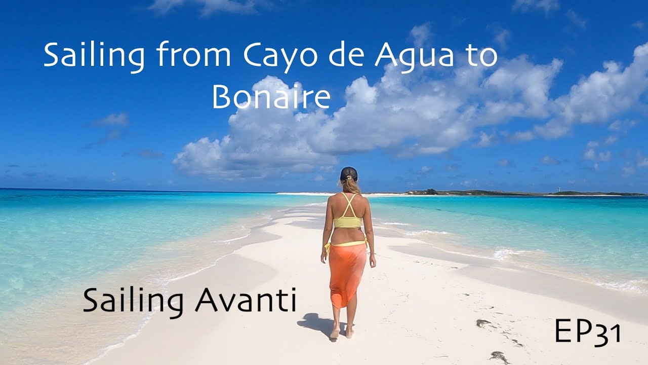 ⁣Sailing from Cayo de Agua, Los Roques to Bonaire EP31