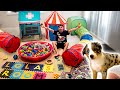 BUILDING MY NEW PUPPY HER DREAM HOUSE!! **insane**