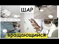 алиэкспресс посылка игрушка для кошек или собак автоматический вращающийся шар