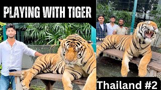 BAAL BAAL BACHE In Thailand Tiger Park Pattaya, with details and prices for tigerpark