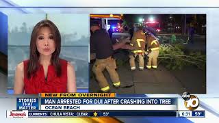 Driver suspected of DUI after crashing into tree