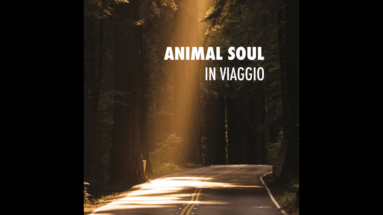 ANIMAL SOUL - GLI AMANTI
