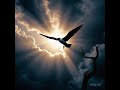 Sora’s Giraffes and Stormy Petrel, mix with my last artwork of 2024